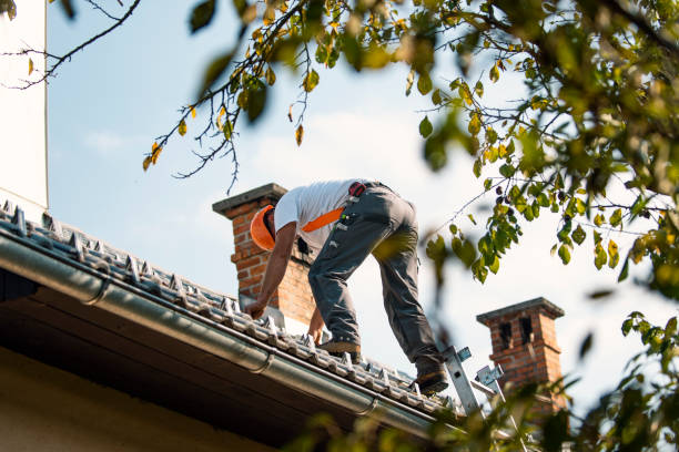 Best Storm Damage Roof Repair  in Northfield, IL
